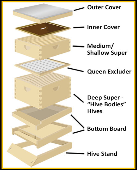 Beehive Components