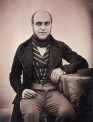 Charles-Dadant Charles Dadant - Company Founder