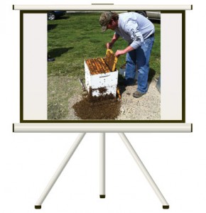 projection_screen