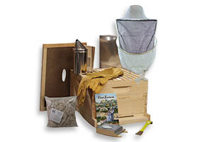 Details about   Bee Hive House Frame Single Layer Beehive  10-Frame Medium Size Beekeeping Kit 