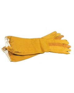 Canvas Gloves Small