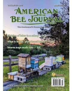 American Bee Journal Back Issue 1 - 5 Years