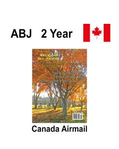 Canada - 2 Year Printed Subscription Airmail - American Bee Journal Publication
