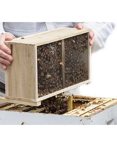 3lb Package of Honey Bees Shipped to Western States