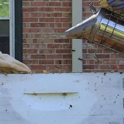 Performing Your First Hive Inspection