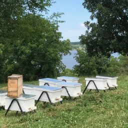 Painting Hives to protect them from the elements