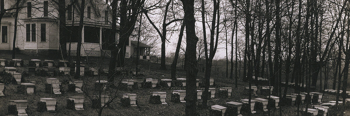 Dadant Family home and apiary