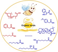 organic acids in honey