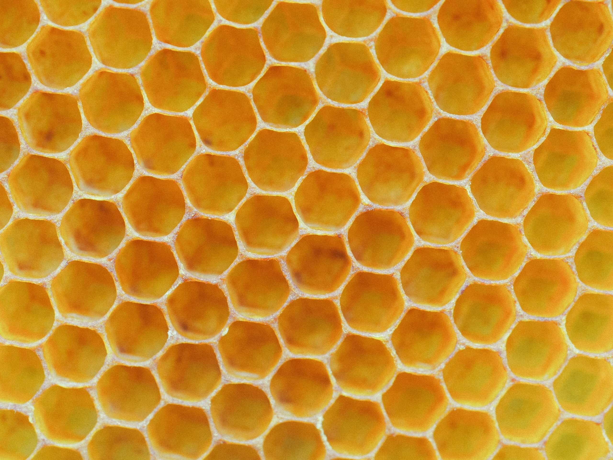 Why Do Honeycombs Look That Way?