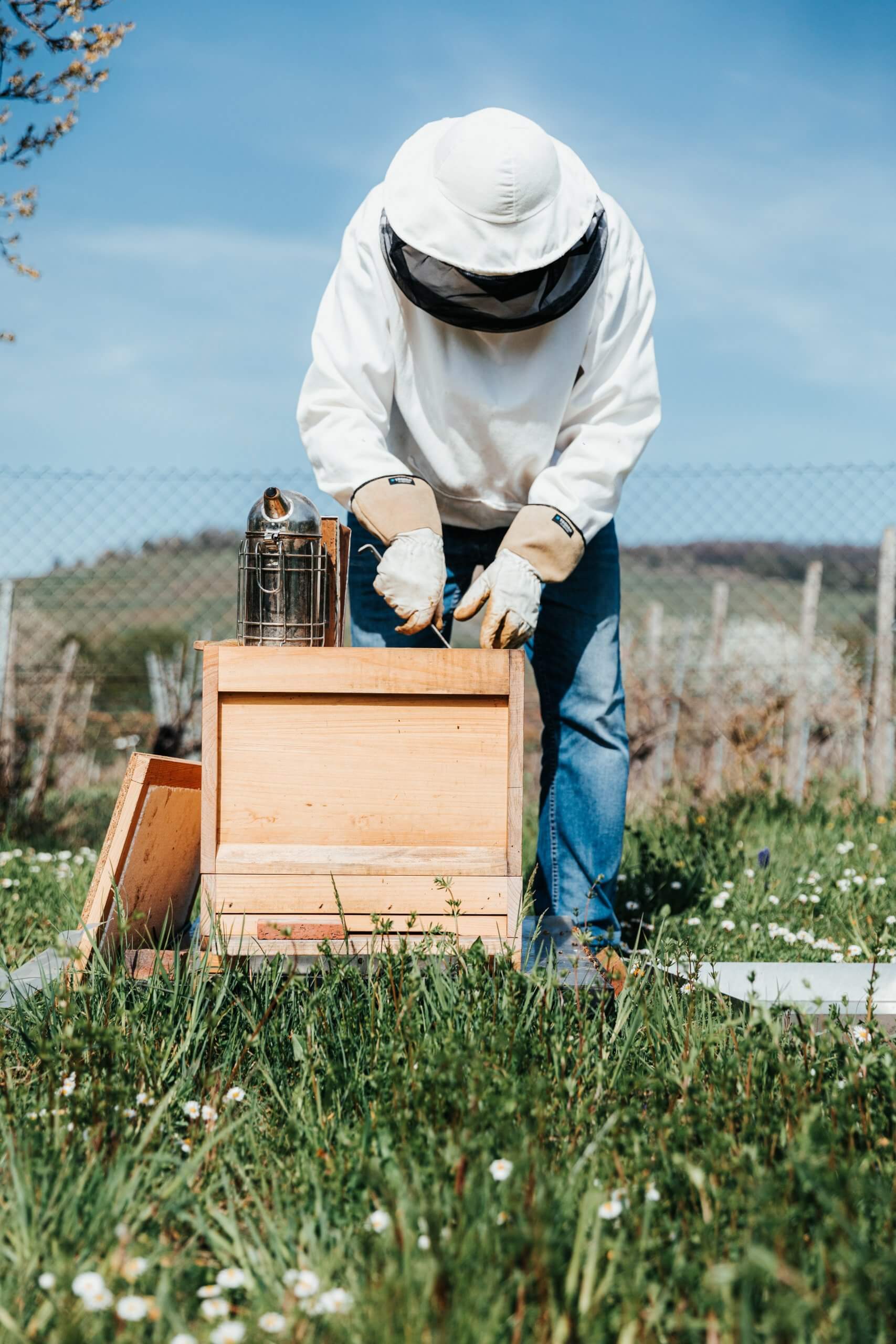 How These Beekeepers Stay True to Themselves, Even in Their Suits