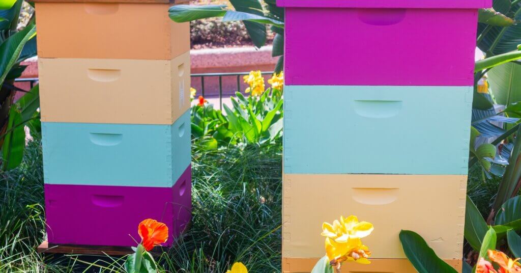 Two colorful, painted beehives standing beside each other among bright yellow and red spring flowers.